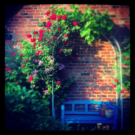 بيت للعطل Alte Kate Mit Bau-& Zirkuswagen Im Gartenidyll In Putbus Ot