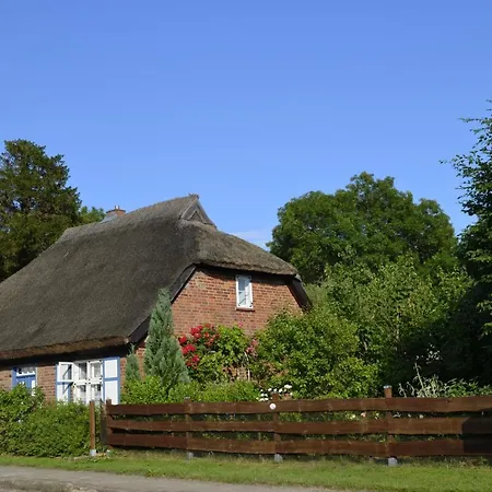 Alte Kate Mit Bau-& Zirkuswagen Im Gartenidyll In Putbus Ot *