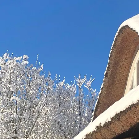 Alte Kate Mit Bau-& Zirkuswagen Im Gartenidyll In Putbus Ot * Kasnevitz