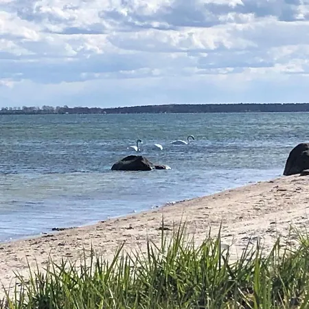Alte Kate Mit Bau-& Zirkuswagen Im Gartenidyll In Putbus Ot بيت للعطل Kasnevitz
