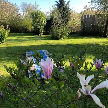 Alte Kate Mit Bau-& Zirkuswagen Im Gartenidyll In Putbus Ot Kasnevitz