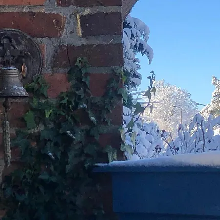 Alte Kate Mit Bau-& Zirkuswagen Im Gartenidyll In Putbus Ot بيت للعطل *