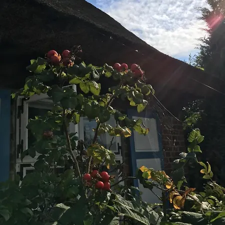 Alte Kate Mit Bau-& Zirkuswagen Im Gartenidyll In Putbus Ot بيت للعطل