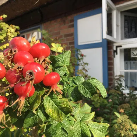 Alte Kate Mit Bau-& Zirkuswagen Im Gartenidyll In Putbus Ot Kasnevitz