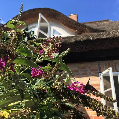 Alte Kate Mit Bau-& Zirkuswagen Im Gartenidyll In Putbus Ot بيت للعطل