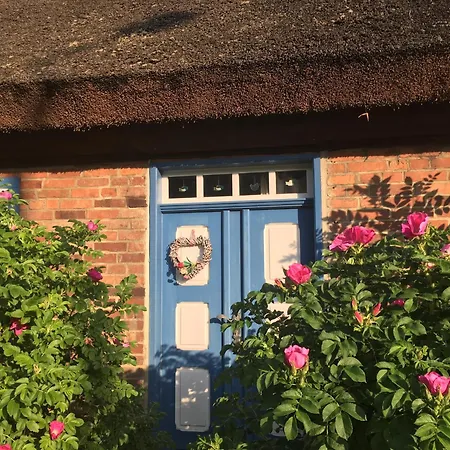 Alte Kate Mit Bau-& Zirkuswagen Im Gartenidyll In Putbus Ot بيت للعطل