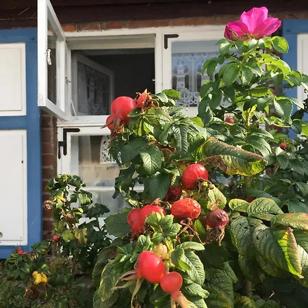 بيت للعطل Alte Kate Mit Bau-& Zirkuswagen Im Gartenidyll In Putbus Ot