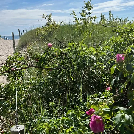 بيت للعطل Alte Kate Mit Bau-& Zirkuswagen Im Gartenidyll In Putbus Ot Kasnevitz