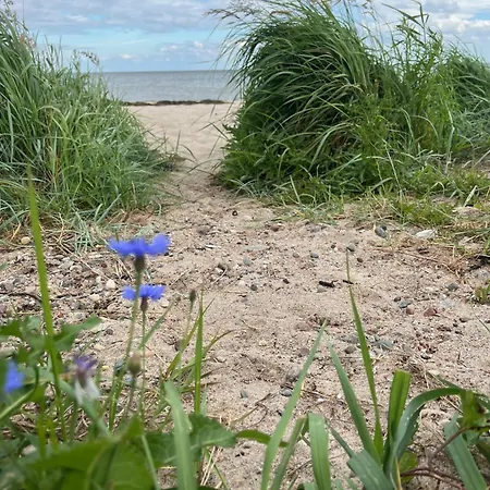 Alte Kate Mit Bau-& Zirkuswagen Im Gartenidyll In Putbus Ot بيت للعطل *