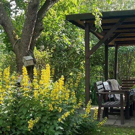 بيت للعطل Alte Kate Mit Bau-& Zirkuswagen Im Gartenidyll In Putbus Ot Kasnevitz