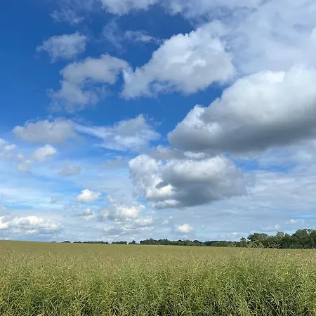 Alte Kate Mit Bau-& Zirkuswagen Im Gartenidyll In Putbus Ot *