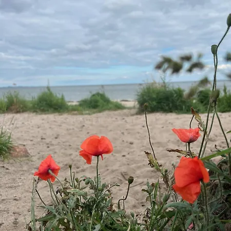 Alte Kate Mit Bau-& Zirkuswagen Im Gartenidyll In Putbus Ot Kasnevitz