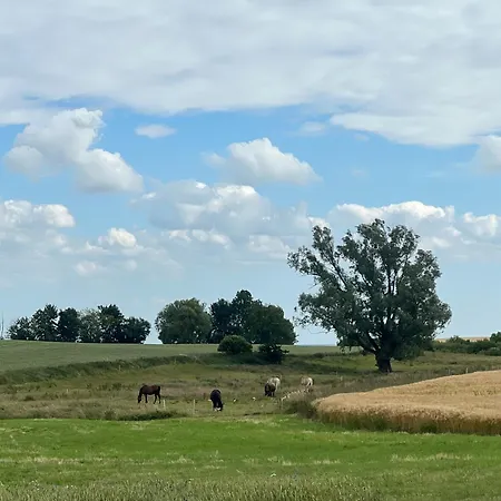 Alte Kate Mit Bau-& Zirkuswagen Im Gartenidyll In Putbus Ot * Kasnevitz