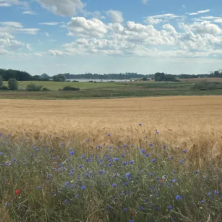 Alte Kate Mit Bau-& Zirkuswagen Im Gartenidyll In Putbus Ot بيت للعطل