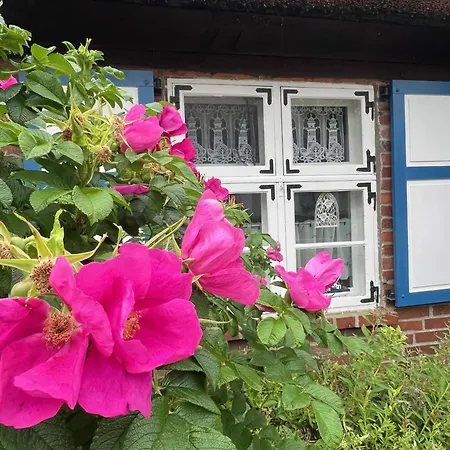 Alte Kate Mit Bau-& Zirkuswagen Im Gartenidyll In Putbus Ot *