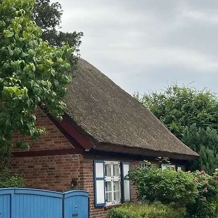 Alte Kate Mit Bau-& Zirkuswagen Im Gartenidyll In Putbus Ot